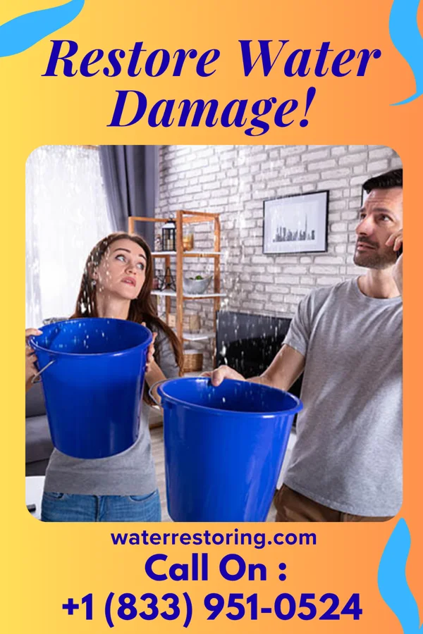 water restoration Citywide Recovery Professionals Callao