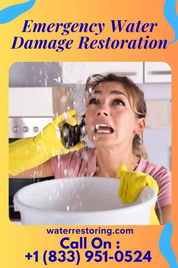 Emergency Water Damage Restoration in Callao, MO